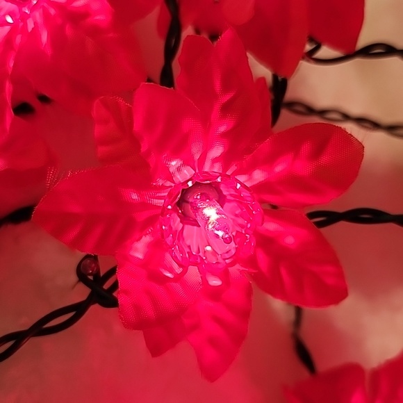 Vintage Silk Poinsettia lights - Picture 7 of 12